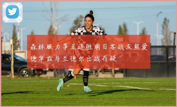 森林狼力争五连胜明日客战灰熊爱德华兹与兰德尔出战存疑
