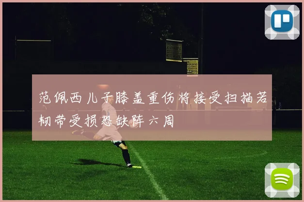 范佩西儿子膝盖重伤将接受扫描若韧带受损恐缺阵六周