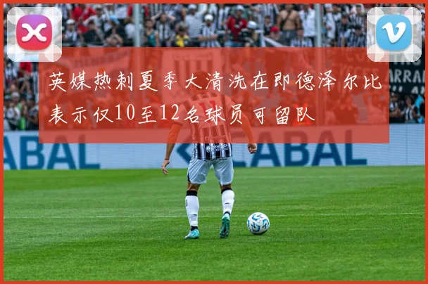 英媒热刺夏季大清洗在即德泽尔比表示仅10至12名球员可留队